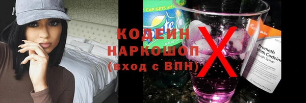 стаф Осинники