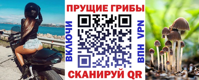 МЕГА онион  Краснодар  Псилоцибиновые грибы мухоморы 